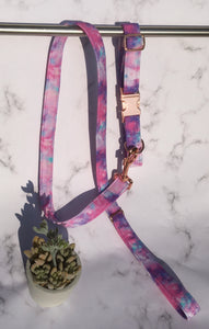 Galactic Print Fabric Covered Collar and Lead Set