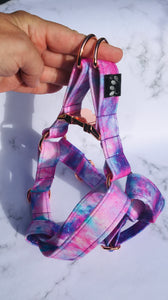 Galactic Print Step in Adjustable Harness