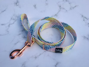 Rainbow Drops Fabric Covered Collar and Lead Set